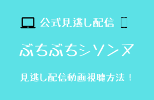 ワンピースバラエティ海賊王におれはなるtv 見逃し動画配信を無料で見る方法は